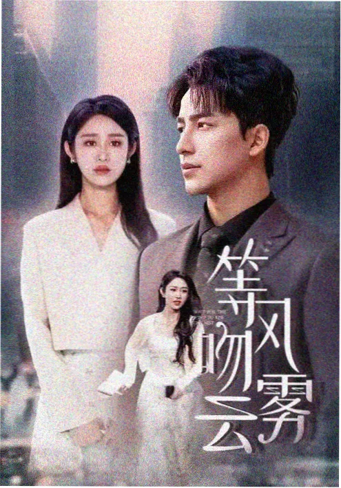 迷雾回声 888影视网热播悬疑剧集海报